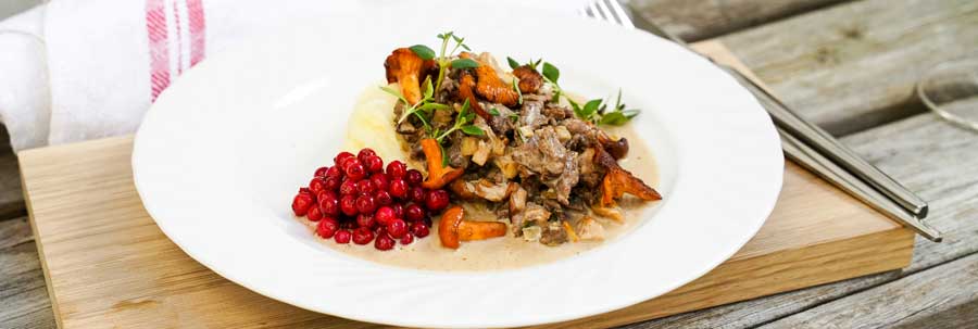 Viltskavsgryta med potatispuré, rårörda lingon och kantareller