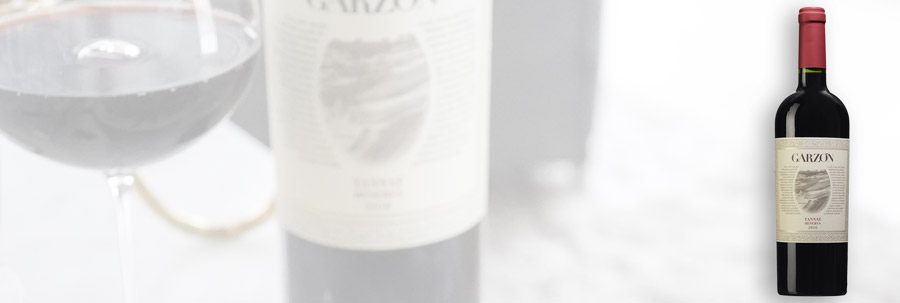 Garzón Reserva Tannat