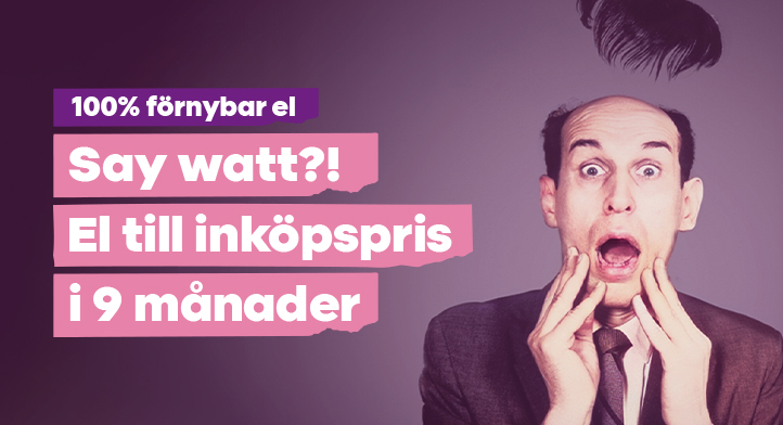 Ingen månadsavgift i 9 månader - byt till Skellefteå Kraft!
